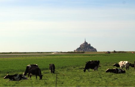 Saint Michel con vacas